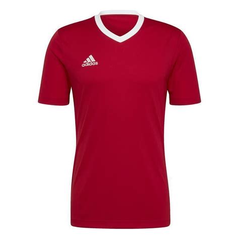 adidas herren fußballhose entrada 14 shirt|Adidas entrada 22.